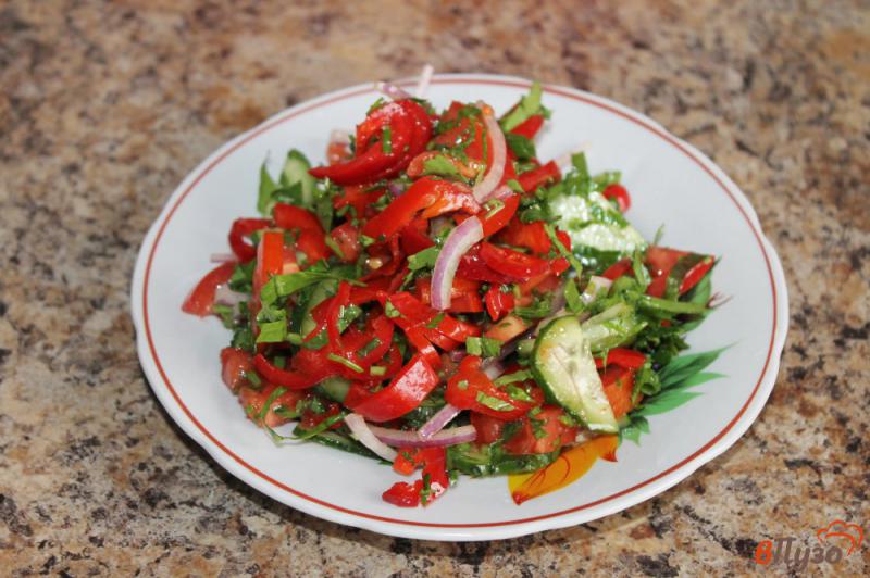 Фото приготовление рецепта: Овощной салат к шашлыку шаг №5