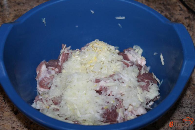 Фото приготовление рецепта: Свиной шашлык в экспресс маринаде шаг №2