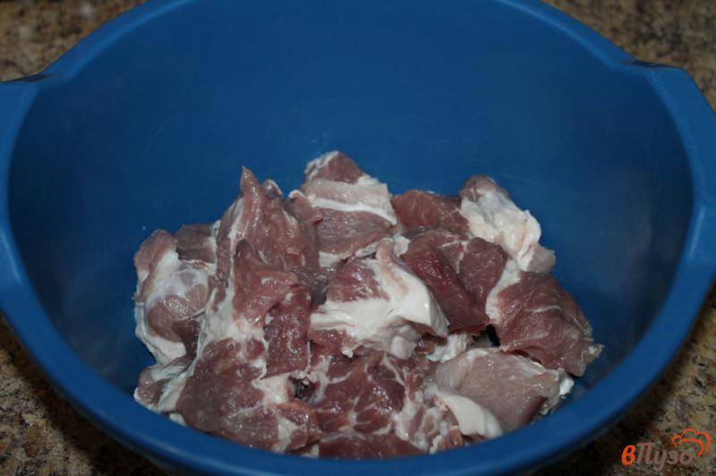 Фото приготовление рецепта: Свиной шашлык в экспресс маринаде шаг №1