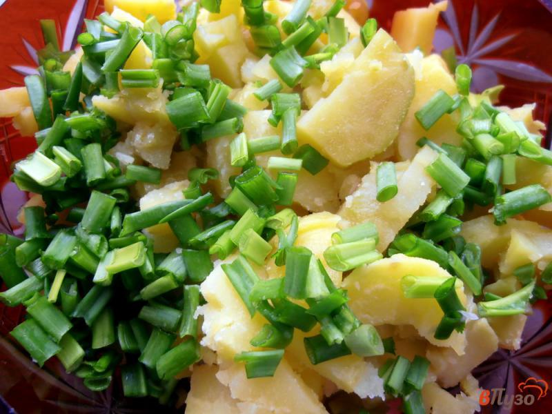 Фото приготовление рецепта: Салат из картофеля с колбасой и зеленым луком шаг №5