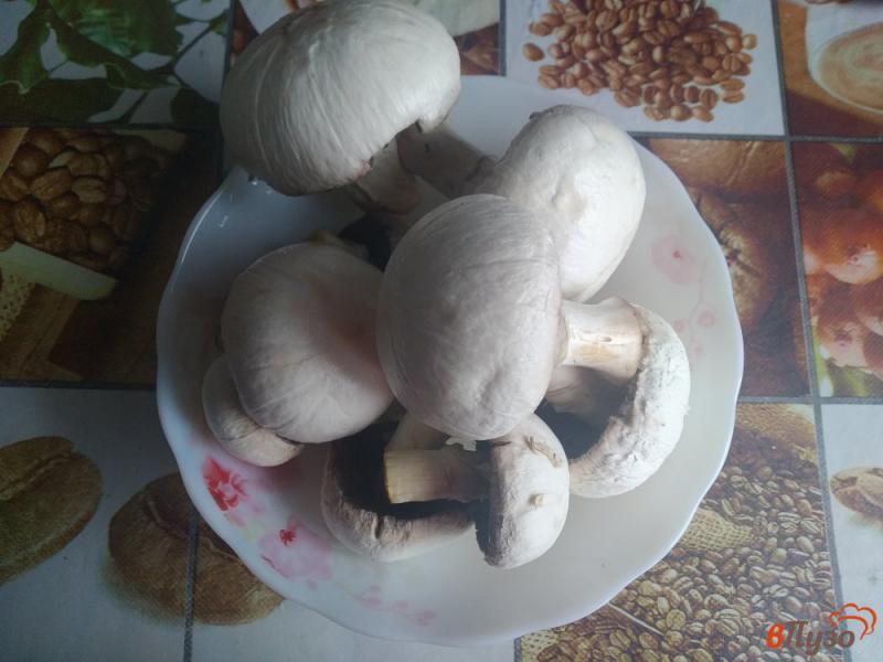 Фото приготовление рецепта: Запеканка картофельная с грибами шаг №1