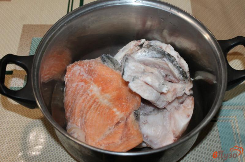 Фото приготовление рецепта: Суп из двух видов рыбы шаг №1