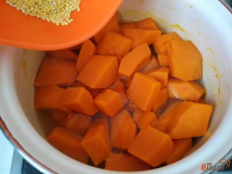 Фото приготовление рецепта: Каша из тыквы с пшеном и фруктами шаг №3