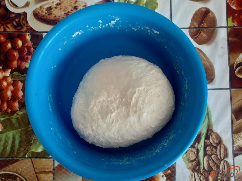 Фото приготовление рецепта: Хлеб на сухом молоке шаг №11