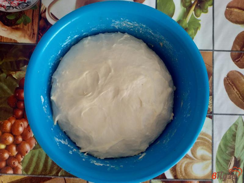 Фото приготовление рецепта: Хлеб на сухом молоке шаг №10