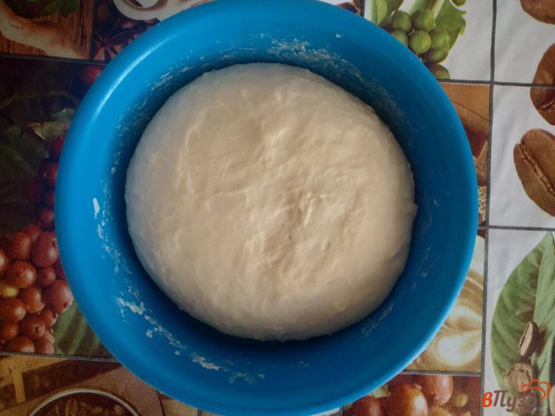 Фото приготовление рецепта: Хлеб на сухом молоке шаг №12