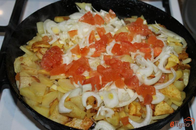 Фото приготовление рецепта: Картофель жареный с помидорами луком салом и яйцом шаг №3