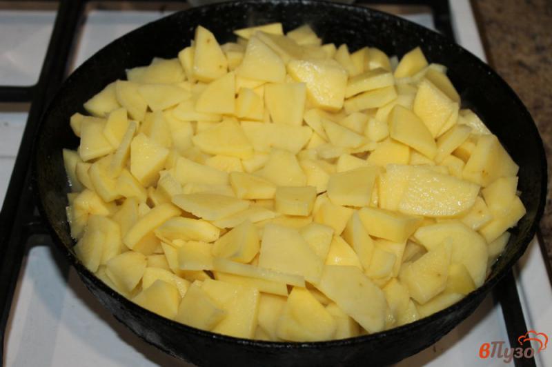 Фото приготовление рецепта: Картофель жареный с помидорами луком салом и яйцом шаг №2