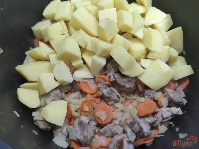 Фото приготовление рецепта: Овощное рагу со свининой и кукурузой шаг №2