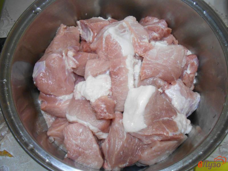 Фото приготовление рецепта: Свинина на мангале с помидорами шаг №1