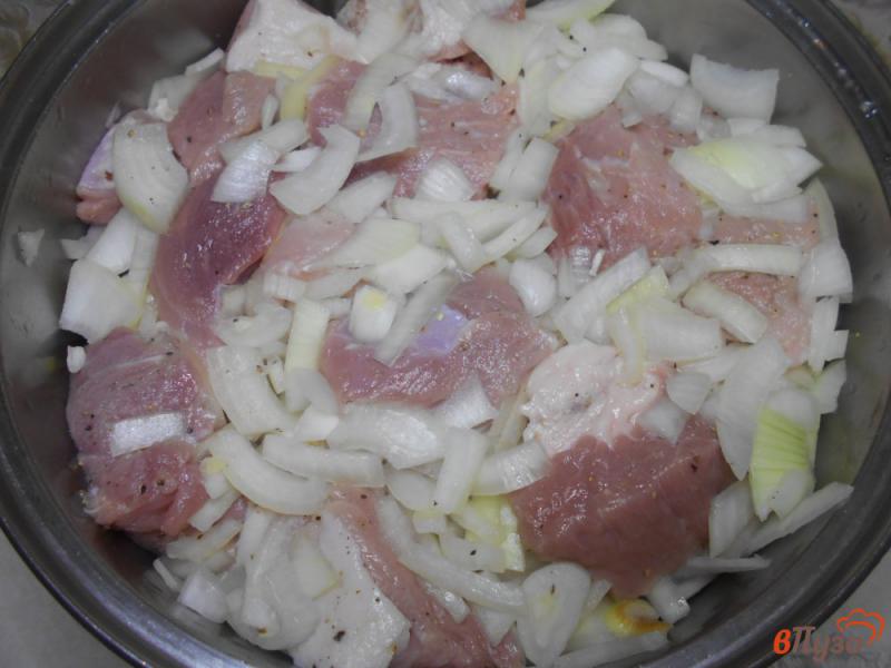 Фото приготовление рецепта: Свинина на мангале с помидорами шаг №3