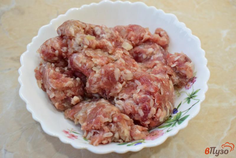 Фото приготовление рецепта: Суп с фрикадельками из мяса и риса шаг №1