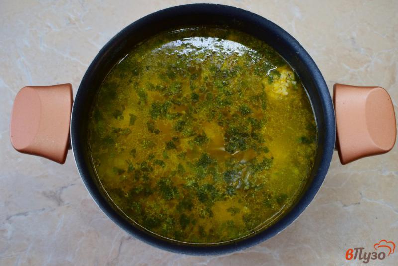 Фото приготовление рецепта: Суп с фрикадельками из мяса и риса шаг №5