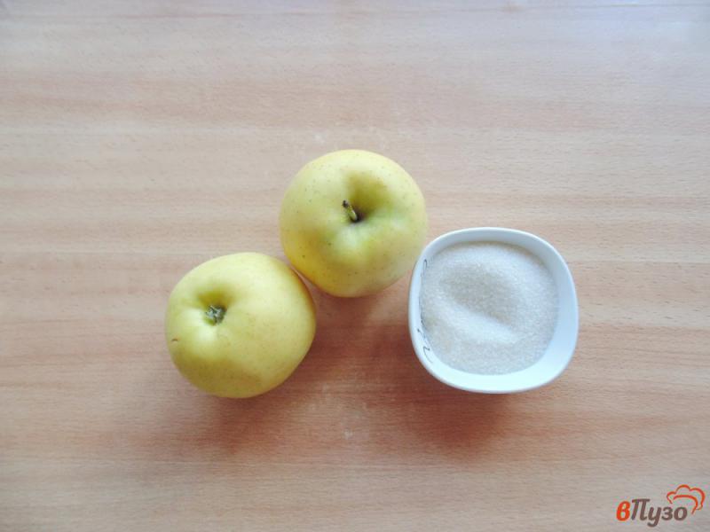 Фото приготовление рецепта: Диетическое пюре из яблок шаг №1