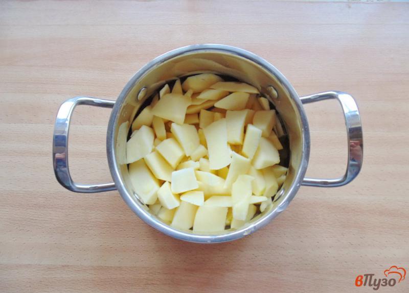 Фото приготовление рецепта: Диетическое пюре из яблок шаг №2