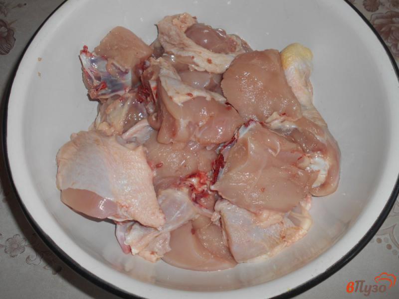 Фото приготовление рецепта: Шашлык из курицы с помидорами шаг №1