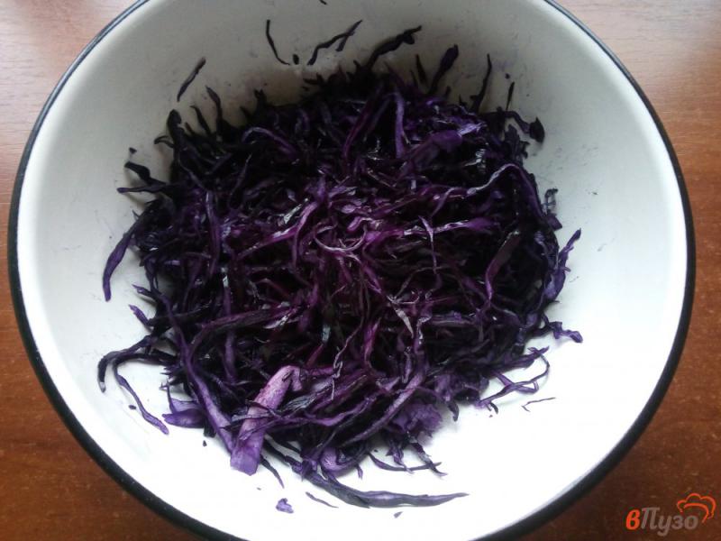 Фото приготовление рецепта: Салат из краснокочанной капусты шаг №1