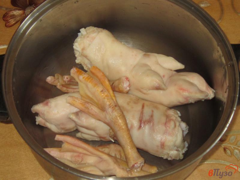 Фото приготовление рецепта: Холодец из утиных и свиных ножек шаг №1