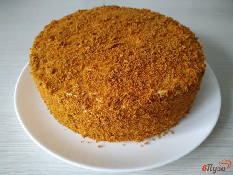 Фото приготовление рецепта: Торт медовый с черносливом шаг №15