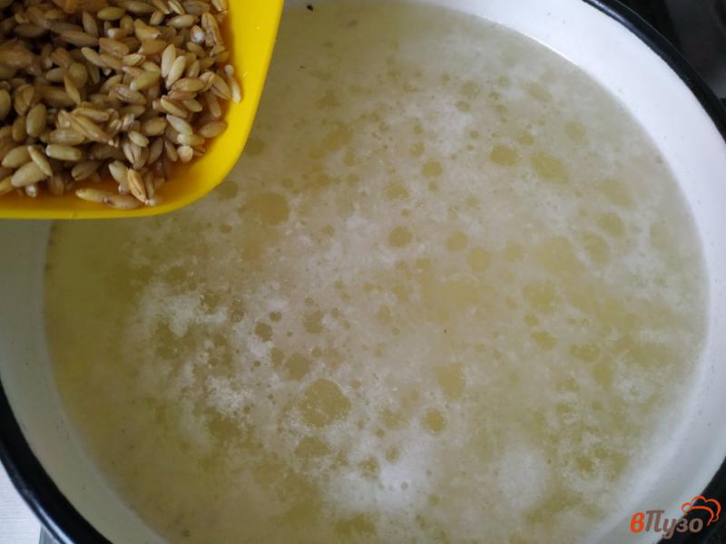 Фото приготовление рецепта: Суп с перловкой на индюшином бульоне шаг №3