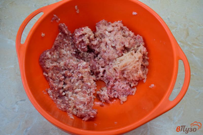 Фото приготовление рецепта: Мясные котлеты с капустой, картошкой и луком шаг №1