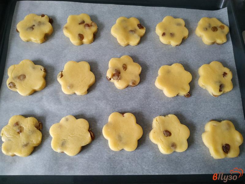 Фото приготовление рецепта: Песочное печенье с изюмом шаг №9