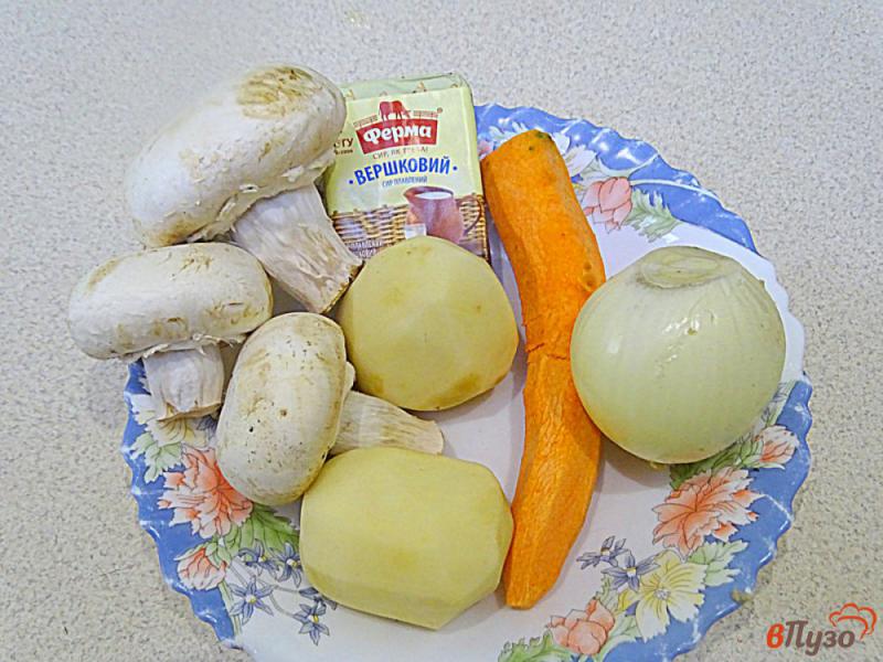 Фото приготовление рецепта: Суп грибной с плавленым сыром, сливками и вермишелью шаг №1