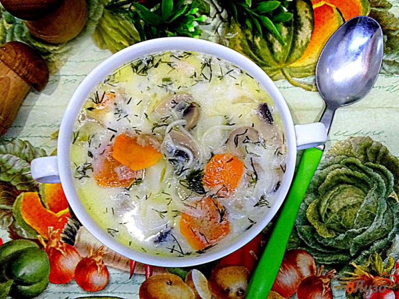 Фото приготовление рецепта: Суп грибной с плавленым сыром, сливками и вермишелью шаг №10