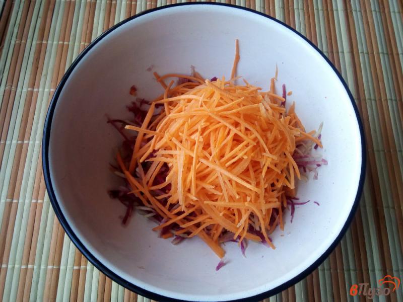 Фото приготовление рецепта: Салат из моркови и редьки по-корейски шаг №2
