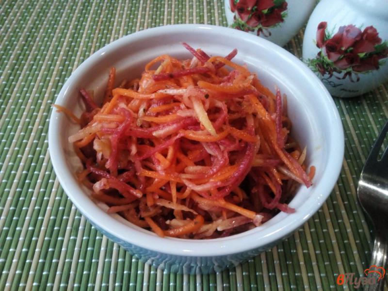 Фото приготовление рецепта: Салат из моркови и редьки по-корейски шаг №7