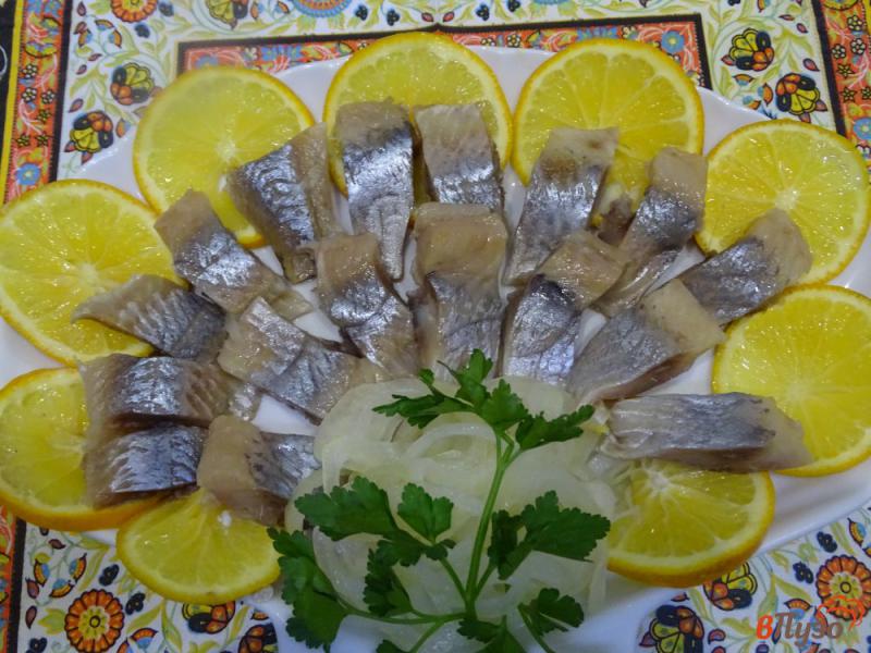 Фото приготовление рецепта: Сельдь в лимонно-луковом маринаде шаг №11