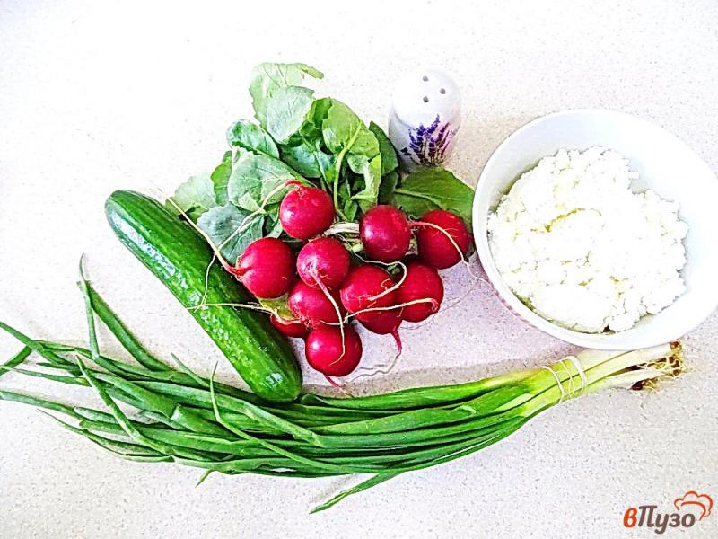 Фото приготовление рецепта: Салат из огурцов редиса и творога шаг №1