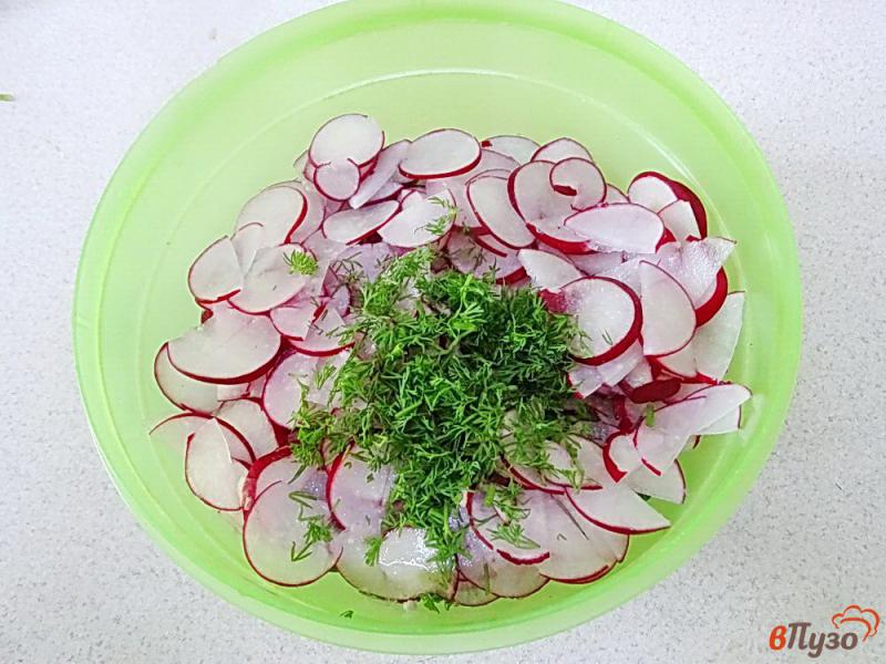 Фото приготовление рецепта: Салат из огурцов редиса и творога шаг №4