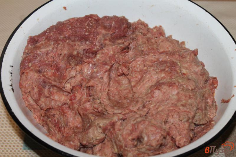 Фото приготовление рецепта: Домашняя колбаса из утиного мяса и шпика на мангале шаг №1