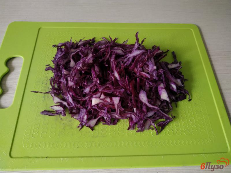Фото приготовление рецепта: Салат с краснокочанной капусты шаг №1