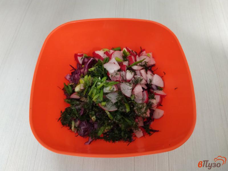 Фото приготовление рецепта: Салат с краснокочанной капусты шаг №4
