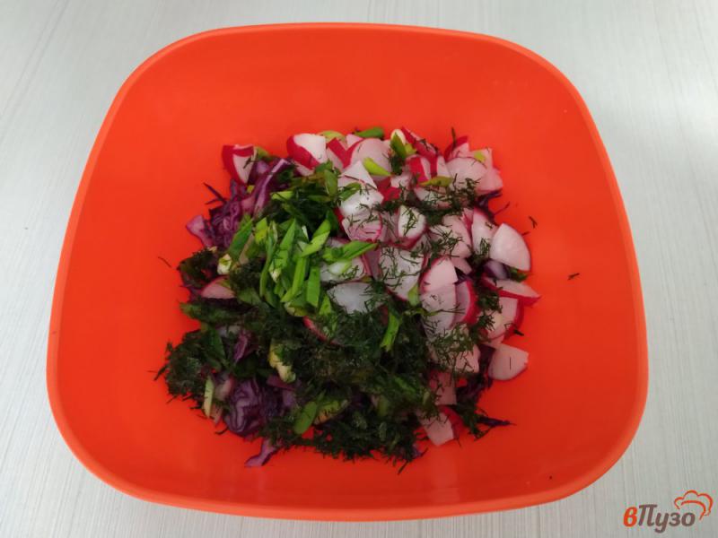 Фото приготовление рецепта: Салат с краснокочанной капусты шаг №3