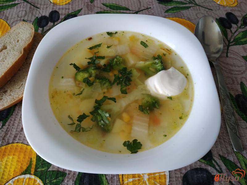 Фото приготовление рецепта: Суп овощной на курином бульоне шаг №9