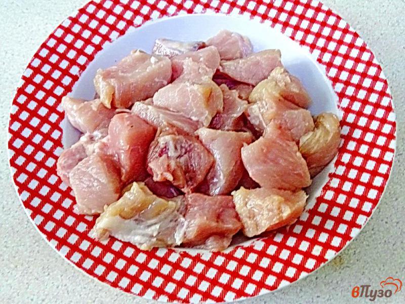 Фото приготовление рецепта: Свинина с консервированной фасолью шаг №1