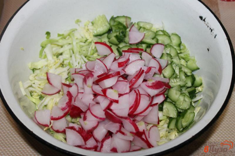 Фото приготовление рецепта: Салат из молодой белокочанной капусты с редисом и зеленью шаг №3