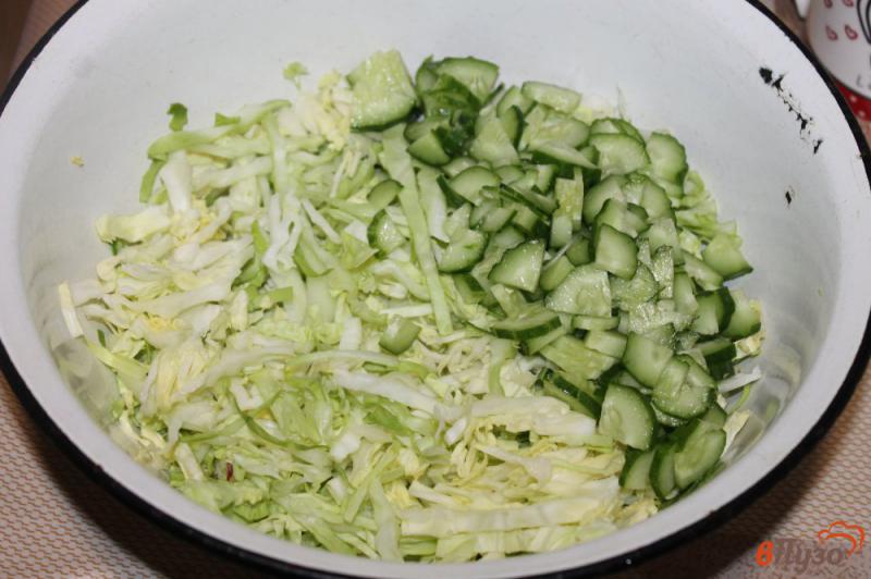 Фото приготовление рецепта: Салат из молодой белокочанной капусты с редисом и зеленью шаг №2
