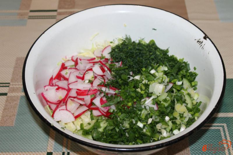 Фото приготовление рецепта: Салат из молодой белокочанной капусты с редисом и зеленью шаг №4