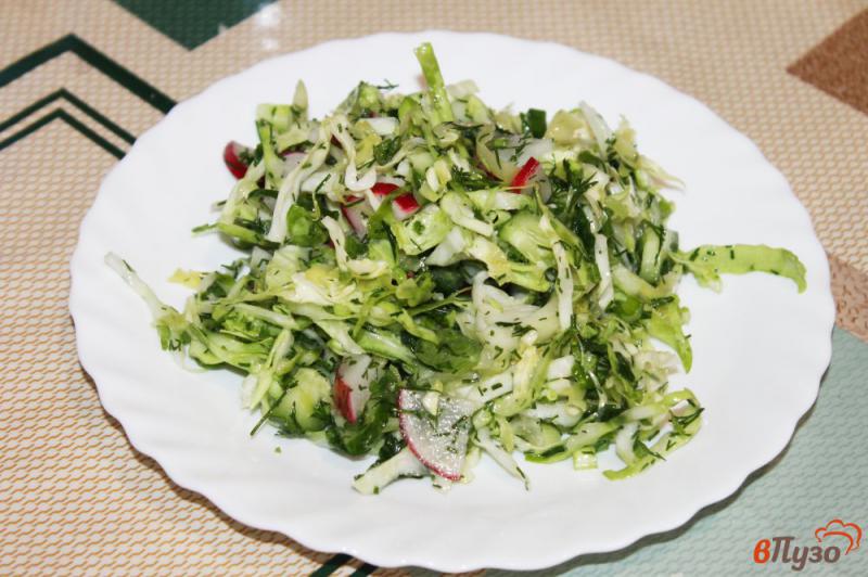 Фото приготовление рецепта: Салат из молодой белокочанной капусты с редисом и зеленью шаг №5