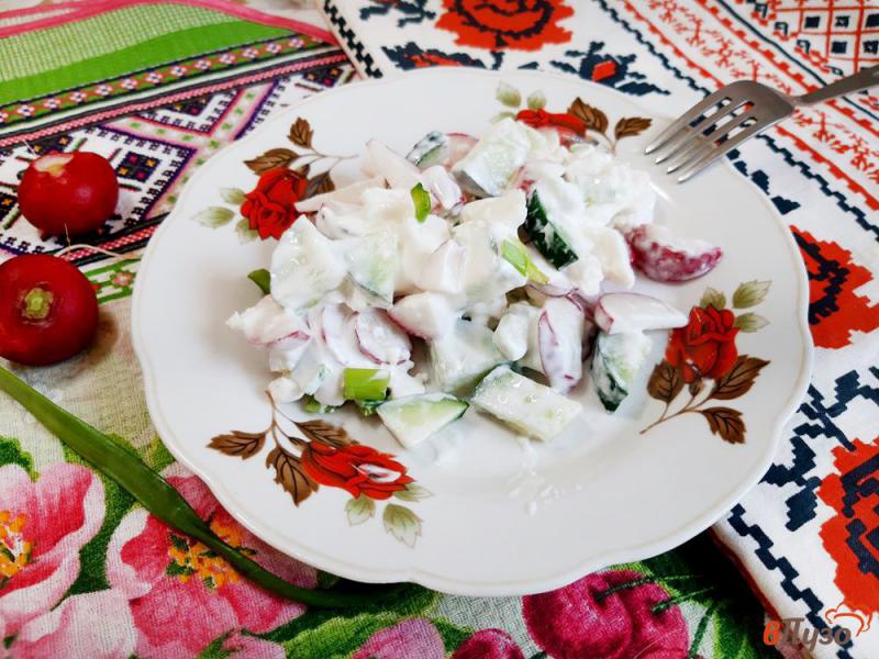 Фото приготовление рецепта: Салат из редиски с адыгейским сыром шаг №6