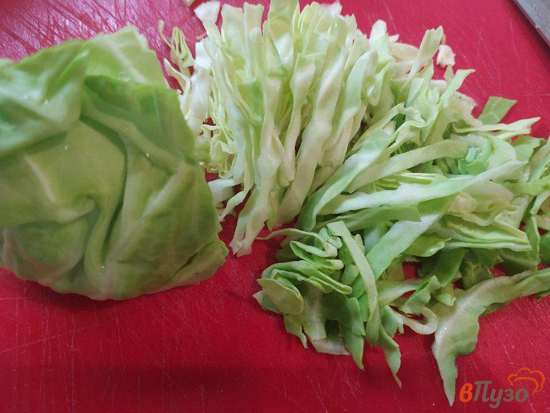 Фото приготовление рецепта: Весенний салат из молодой капусты шаг №2