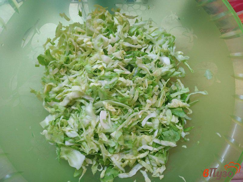 Фото приготовление рецепта: Весенний салат из молодой капусты шаг №3