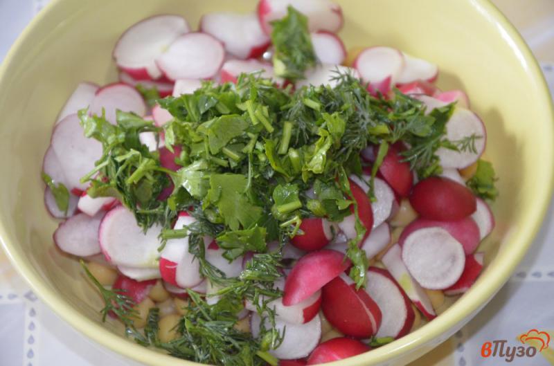 Фото приготовление рецепта: Салат из нута с редисом шаг №3