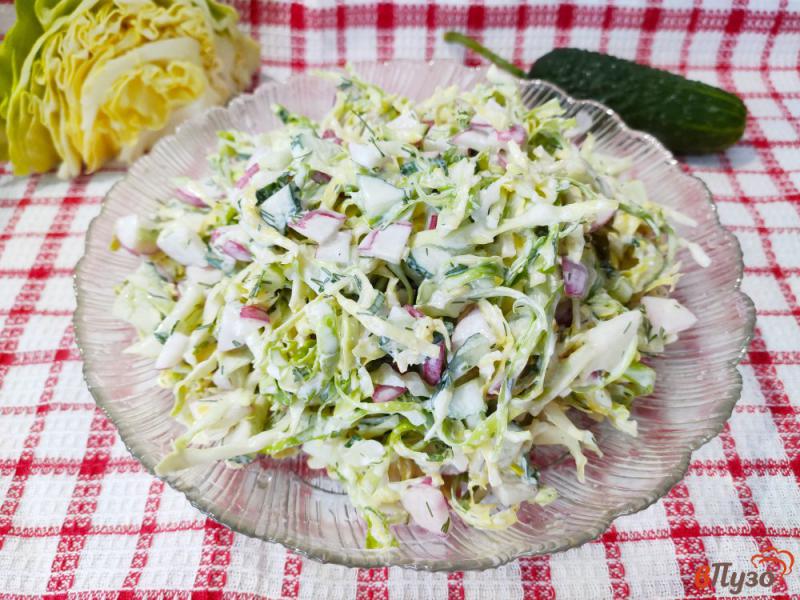 Фото приготовление рецепта: Салат из молодой капусты с редиской и зеленью шаг №9