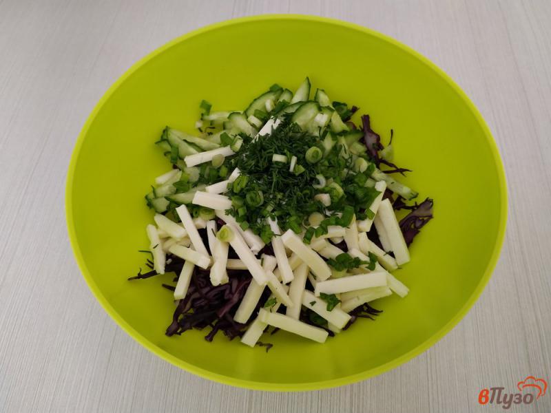 Фото приготовление рецепта: Салат из краснокочанной капусты и адыгейского сыра шаг №5