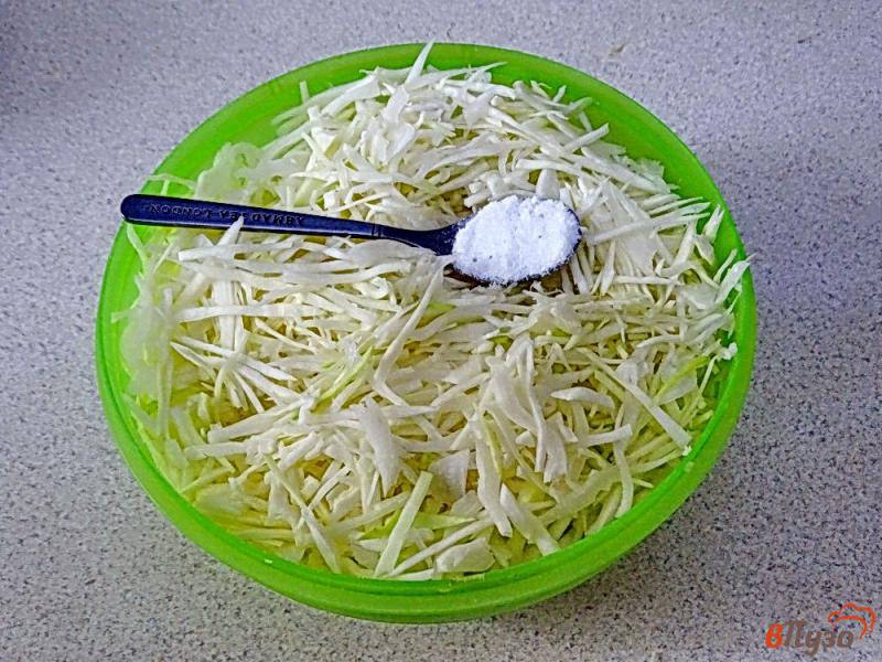 Фото приготовление рецепта: Салат из твёрдых зимних сортов капусты шаг №1